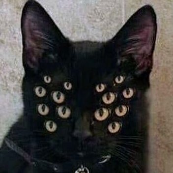 No0neSpecialさんのプロフィール画像