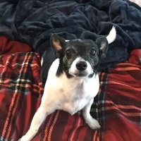 Ann Austin (@annaustin646588) 's Twitter Profile