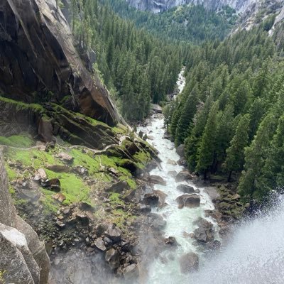 DaLastBoss88's profile picture. Independent thinker. Up, down, left, right, a good idea is a good idea