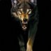 Christopher Moreno (@christophe44446) Twitter profile photo Christopher Moreno (@christophe44446) Twitter profile photo