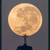 IK ππ¦
(@ikjunior8) 's Twitter Profile