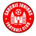 Sauchie Juniors FC (@sauchieofficial) Twitter profile photo