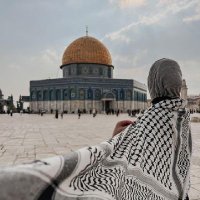 HaNoo Safi (@haneenfarra8) 's Twitter Profile