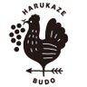 yamaturi_budo's profile picture. 農園名が決まりました！旧ぶどう園ができるまで→はるかぜぶどう農園 元矢祭町地域おこし協力隊。現在は、協力隊を卒業して矢祭町で遊休農地を使用したぶどう園を0から作っています。 2020.5.1千葉県から福島県矢祭町に移住しました。2022.3.1就農！ 新規就農4年目🍇