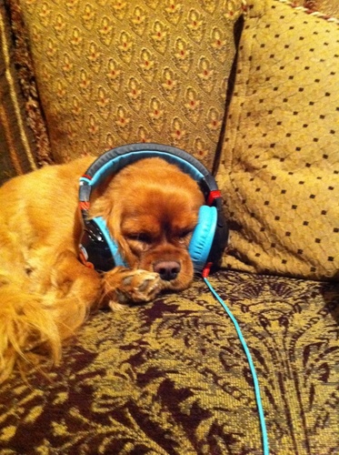 ManofstyleUSA's profile picture. Always thinking, trying and never taking No for an answer. I'm not scared to try anything at least twice. Collector of all unique things.