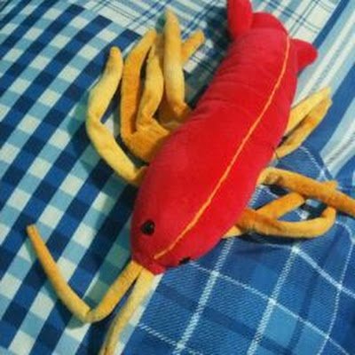 shrimps_an20167's profile picture. O