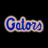 Gatorbait2223's profile picture. Gators🐊/Dolphins🐬/Lightning⚡