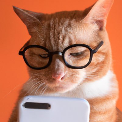 MrMiaw09743_'s profile picture. Art enthusiasts. Pet lover. Average Bionicle enjoyer