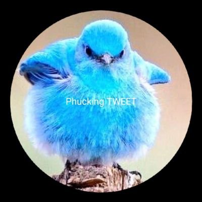 Male, old Fart, Pensioner. I'm a Leftie, If you care about others then I'm a Leftie. also a bluesky guy @rbjron. bsky social