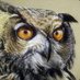 Anthony Oneill (@anthony20482415) Twitter profile photo Anthony Oneill (@anthony20482415) Twitter profile photo