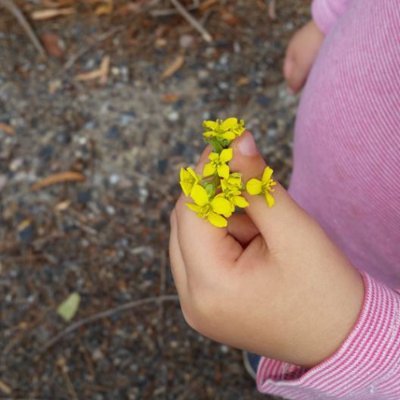 I'm a childcare worker living in Australia.
オーストラリア在住で、保育士をしています。
ブログにメモを書いています。