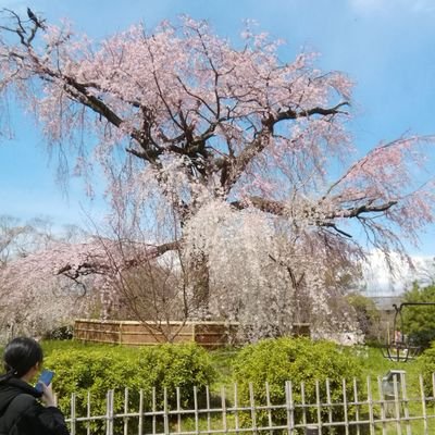 umahiroshi119's profile picture. 競馬大好き🏇🏇🏇