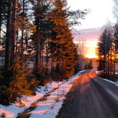 boxmanne99's profile picture. 