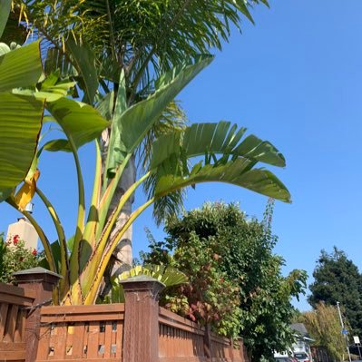 fujianre's profile picture. 