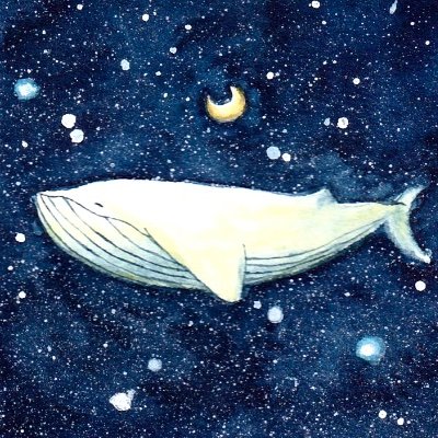 水彩で絵を描く画家。海獣や動物の絵が大好きです。ネットショップで絵の販売をしています。オーダーも受付中です。ペットの絵なども承っております。価格の詳細はホームページに記載しています！