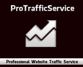 Professional Website Traffic Service