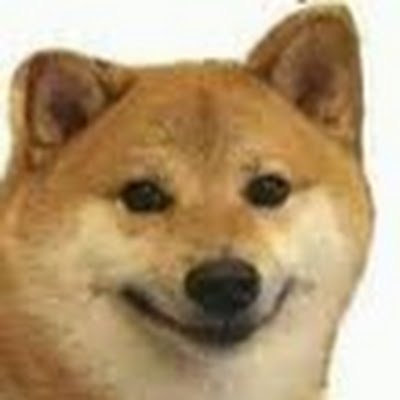 happydoggo2416's profile picture. 