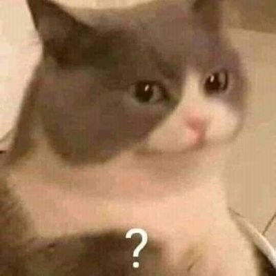 DavDavarg's profile picture. 