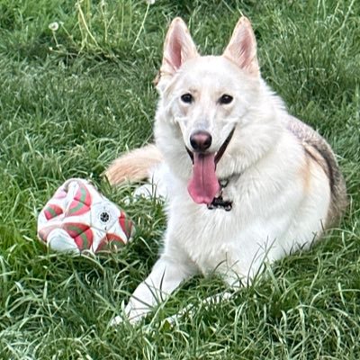 Kp28_Petey's profile picture. Stay Motivated!  You only got one life! Let’s Go Buffalo!!! 🦬 🦬🦬