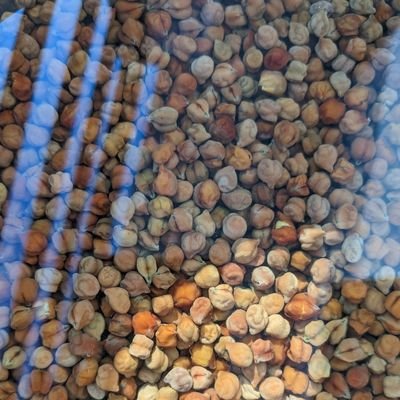 rohittweetshere's profile picture. Believe !