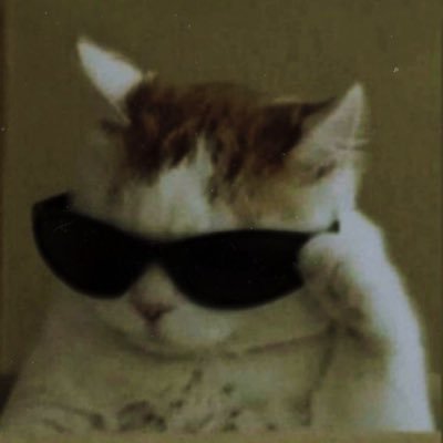 lindocheeto's profile picture. 