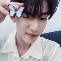 vita🦋(@zhnghao0) 's Twitter Profile Photo