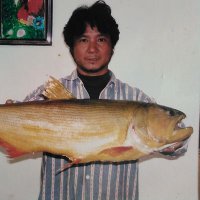 Kiyoshi Watanabe (@kiyoshi48746019) 's Twitter Profile Photo Kiyoshi Watanabe (@kiyoshi48746019) 's Twitter Profile Photo