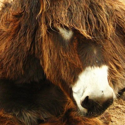 Alas_007's profile picture. only the strong survive...