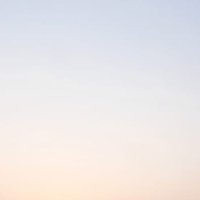 vijuu (@vijuu0007) 's Twitter Profile
