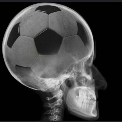 Mental training for elite sports men and women. Current focus on youth on the Elite player pathway in invasion games and combat sports