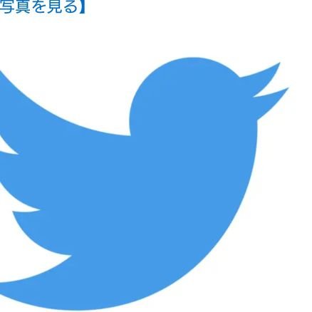 musumenekoneko's profile picture. 子育て中。海外子供服沼民。なんとかはたらいておめおめと生き延びてます。