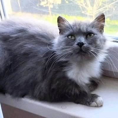 MarianaDudchen's profile picture. 