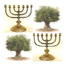 mensajero_777's profile picture. No hay nada mas apasionante e importante que La Verdad.