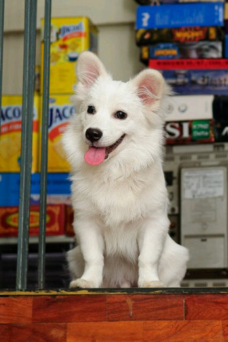 mj_hyap's profile picture. 