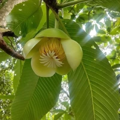 BdBiolab's profile picture. Happy