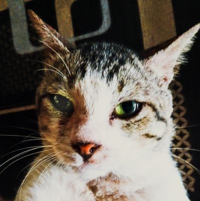 Luckyman634's profile picture. 