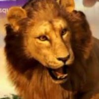 PAK R (@1mron1_) 's Twitter Profile
