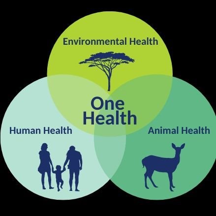 🌿 One Health Advocate 🌍 | Passionate about the interconnectedness of human, animal & environmental health 🐾 | Spreading awareness for a healthier world |