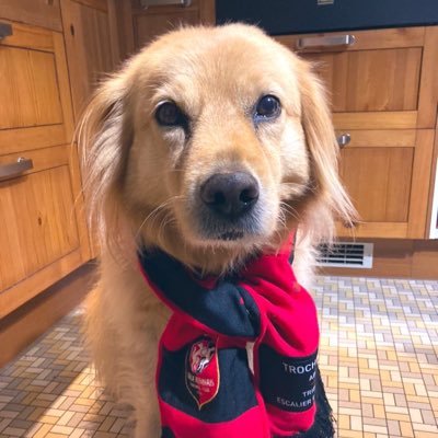 Rachel_roazhon's profile picture. supportrice rouge et noire