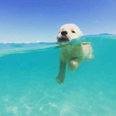 halloimNic's profile picture. 𝕏