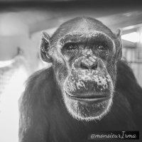 M. Irma (@monsieurirma) 's Twitter Profile Photo M. Irma (@monsieurirma) 's Twitter Profile Photo