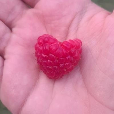 Ruud15090732809's profile picture. 