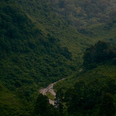 ChegeTimothy254's profile picture. 