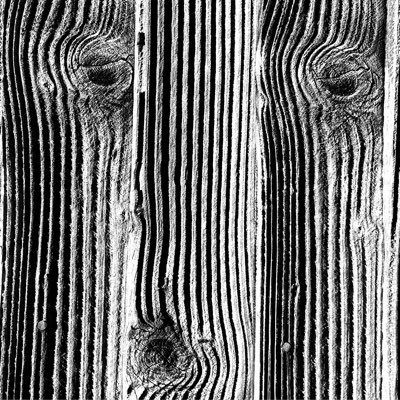 theKvella's profile picture. FOR: #PR, @electoralreform, the planet, my kids future AGAINST: Royalty, Conservatives, Zionists, Aristocrats, Unelected Democracy, RightwingMedia