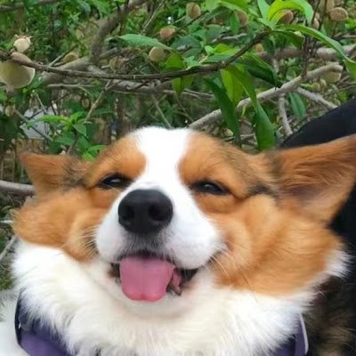 fuguier57's profile picture. 