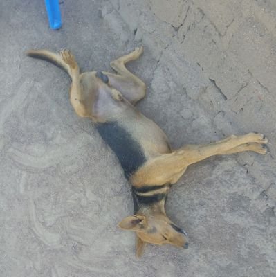 ChikwaAsaph's profile picture. Why retweet something you do not endorse? Ziwa Victoria.