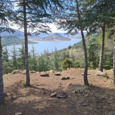 Marieb43500061's profile picture. 