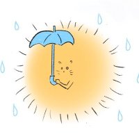 歩くポメラニアン (@buuchio) 's Twitter Profile Photo 歩くポメラニアン (@buuchio) 's Twitter Profile Photo