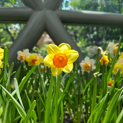 ErosAmor's profile picture. A person who live in Thailand.