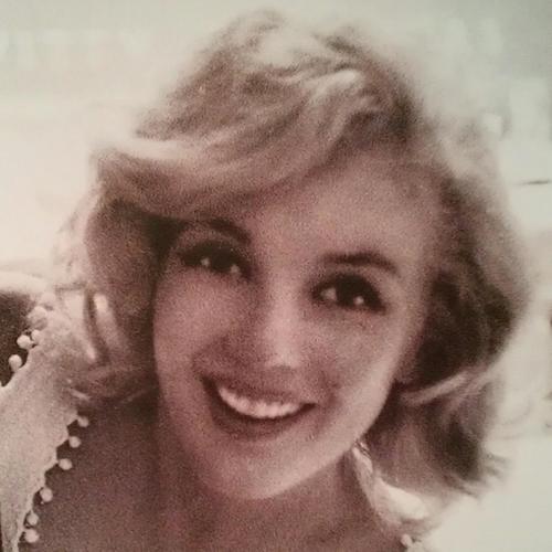 StevieMartinier's profile picture. 